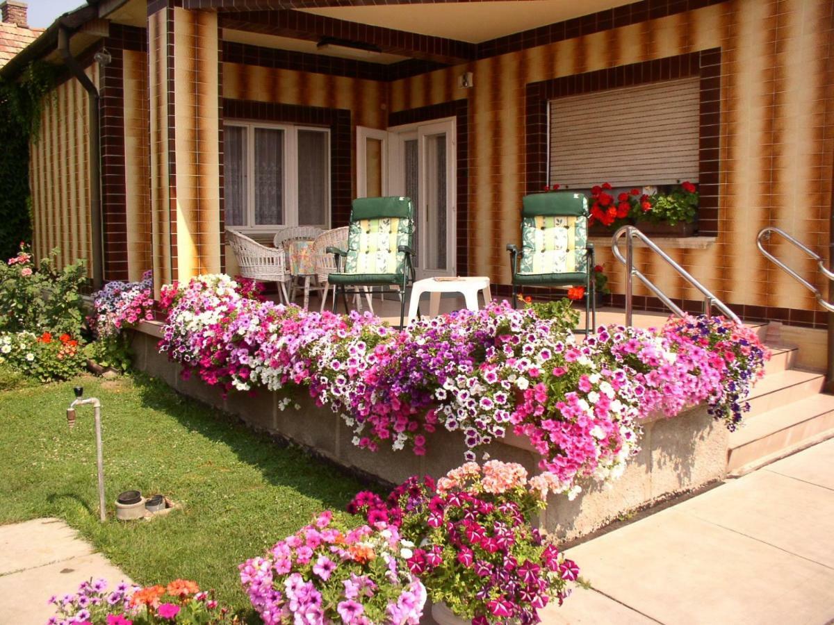 Amalia Apartman غيولا المظهر الخارجي الصورة