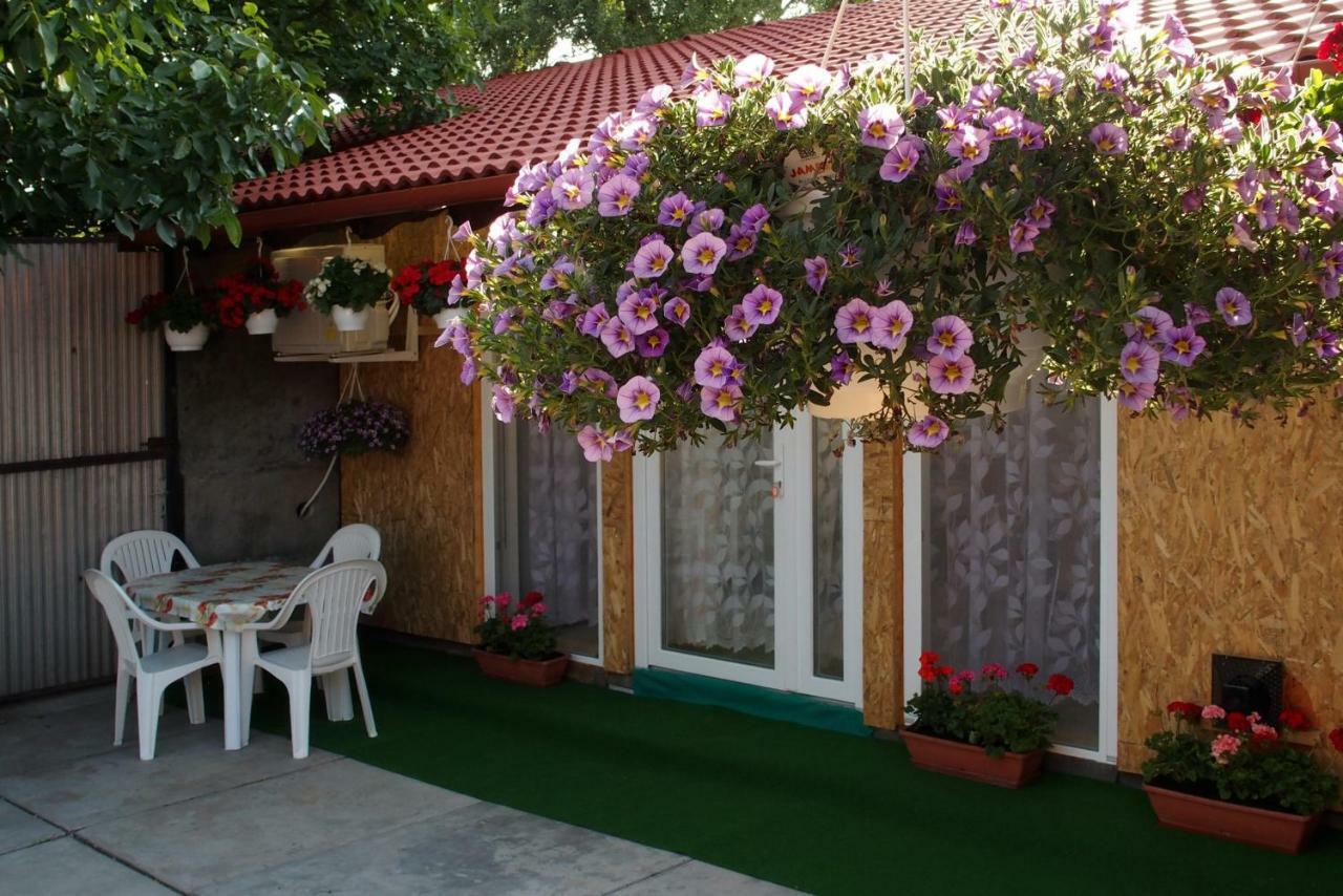 Amalia Apartman غيولا المظهر الخارجي الصورة